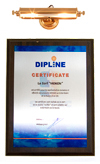  Dipline